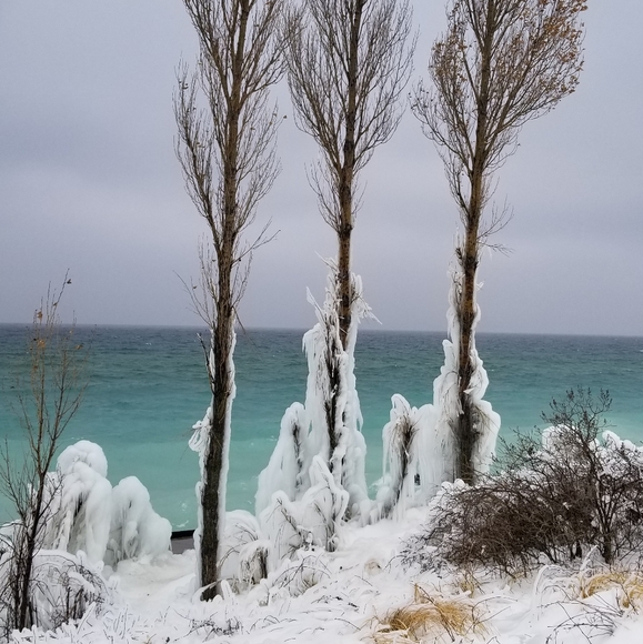 Meet your Posher, Wendy - Picture 3 of 5